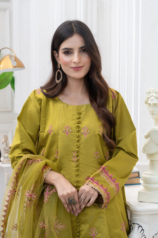 ABROO - HasaanBakhsh