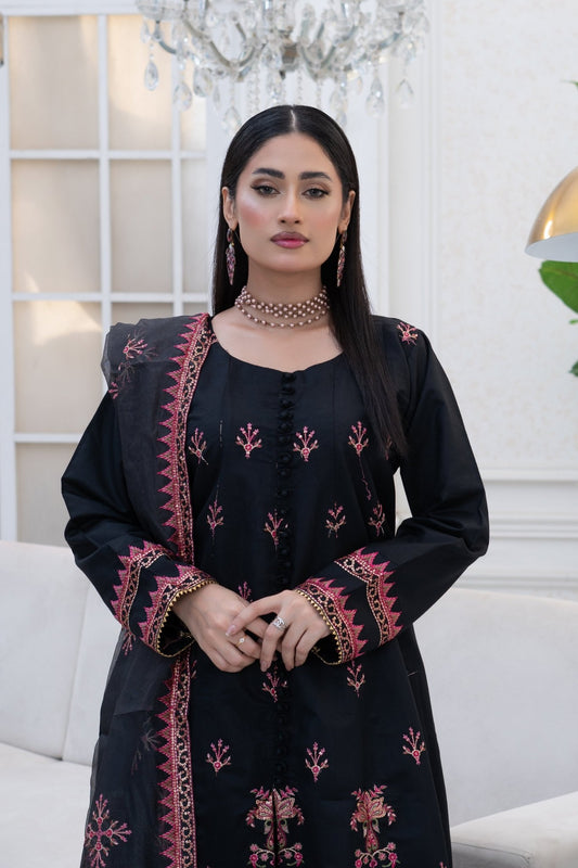 ABROO - HasaanBakhsh