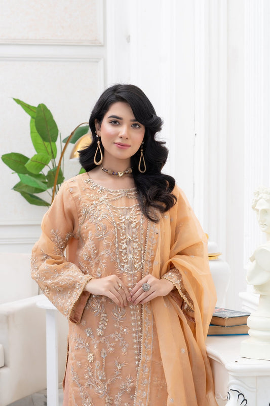 RUSHA - HasaanBakhsh