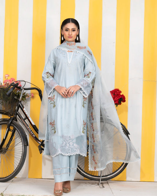 ZARGAY - HasaanBakhsh