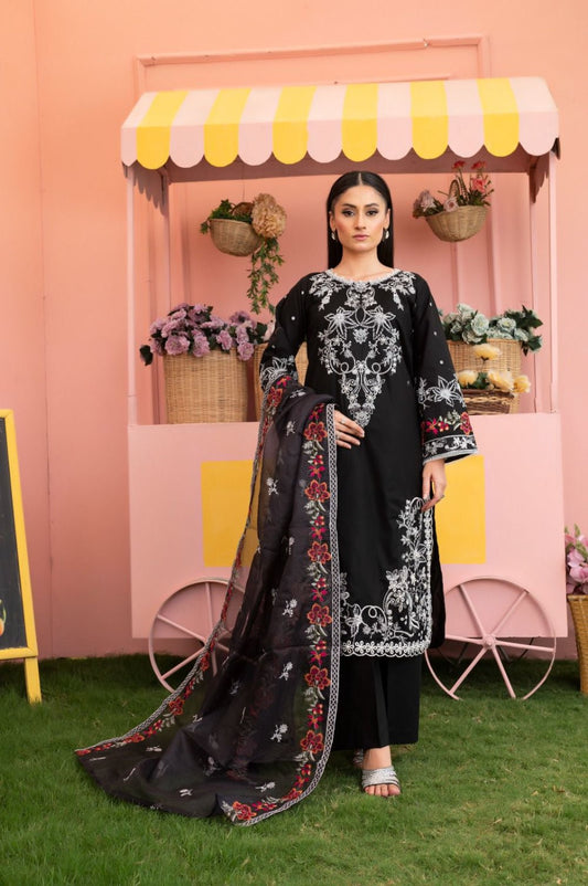 BAANO - HasaanBakhsh