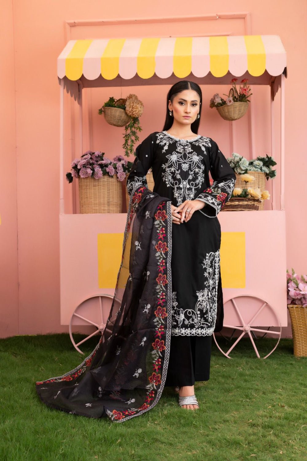 BAANO - HasaanBakhsh