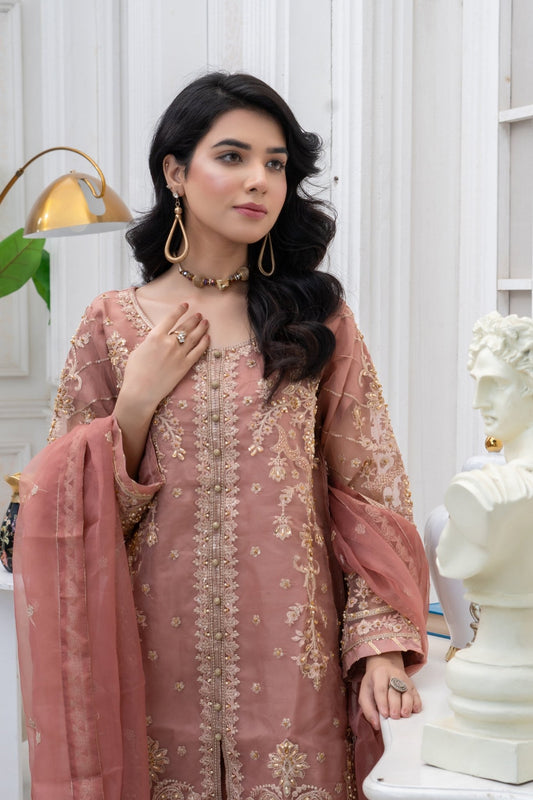 LUMIRA - HasaanBakhsh