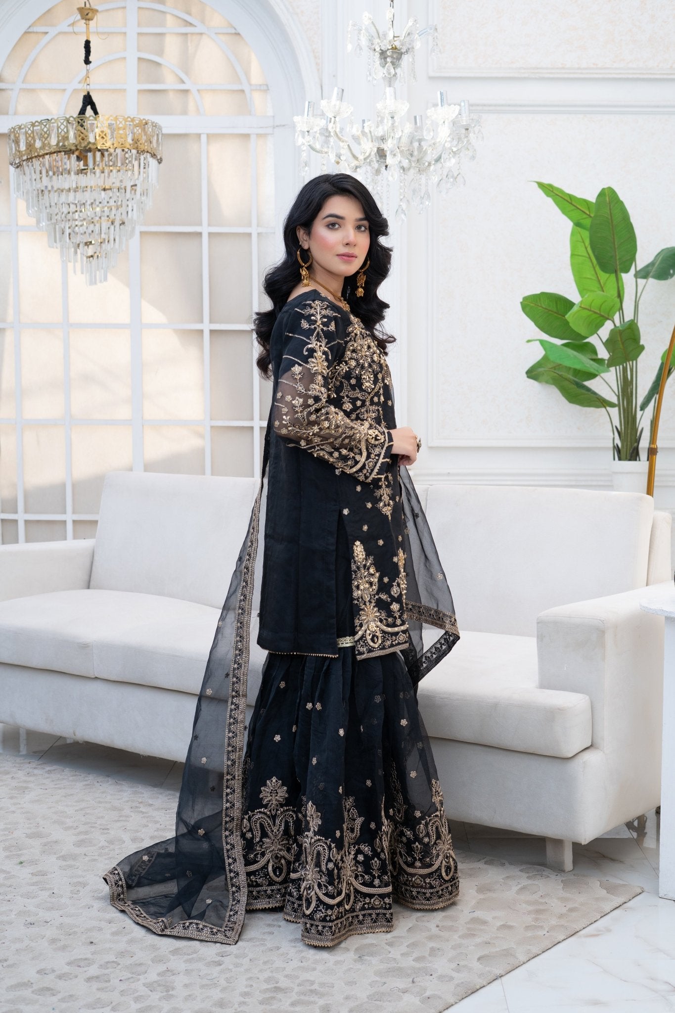 LUMIRA - HasaanBakhsh