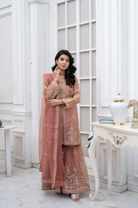 LUMIRA - HasaanBakhsh