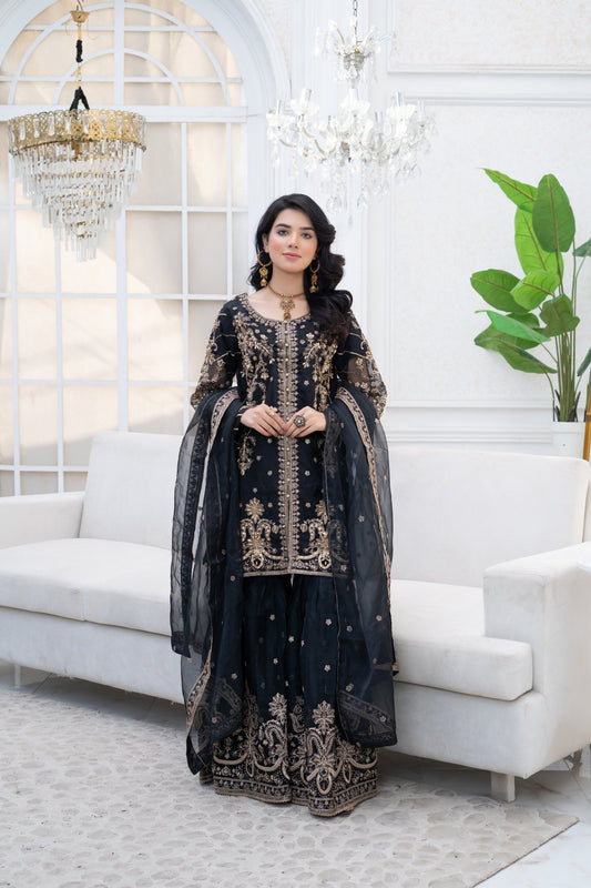 LUMIRA - HasaanBakhsh