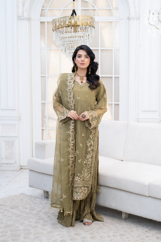 NAZNEEN - HasaanBakhsh