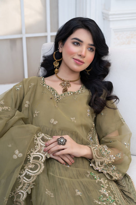 NAZNEEN - HasaanBakhsh
