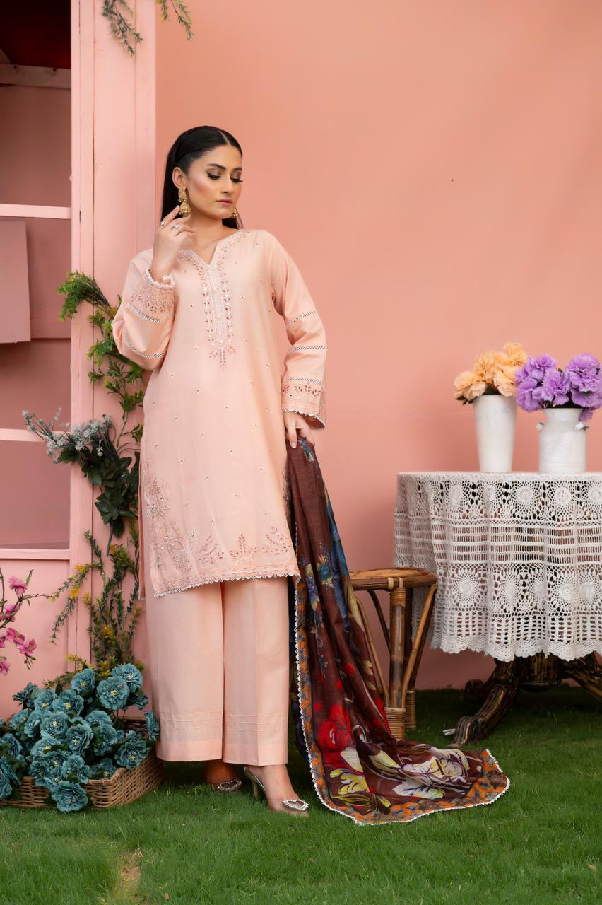 ZAMAIR - HasaanBakhsh