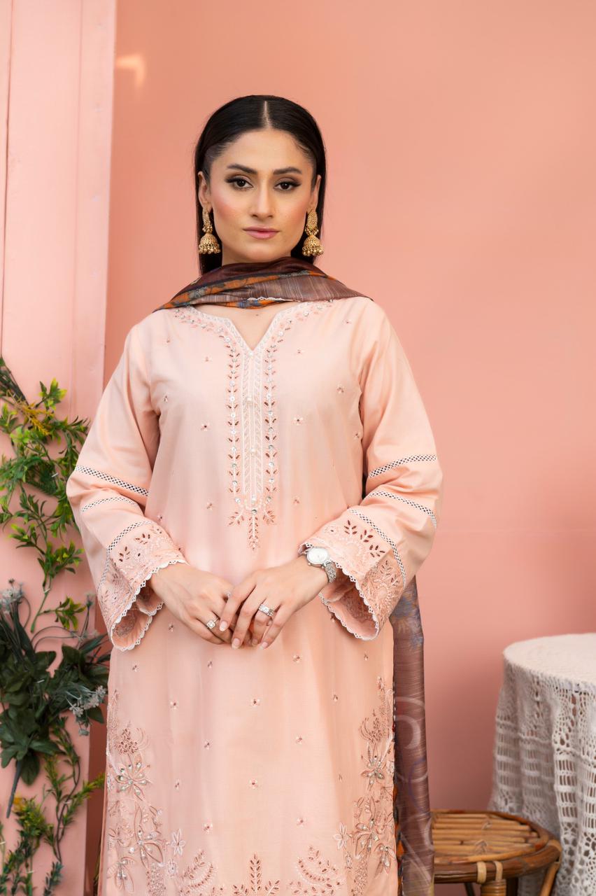 ZAMAIR - HasaanBakhsh